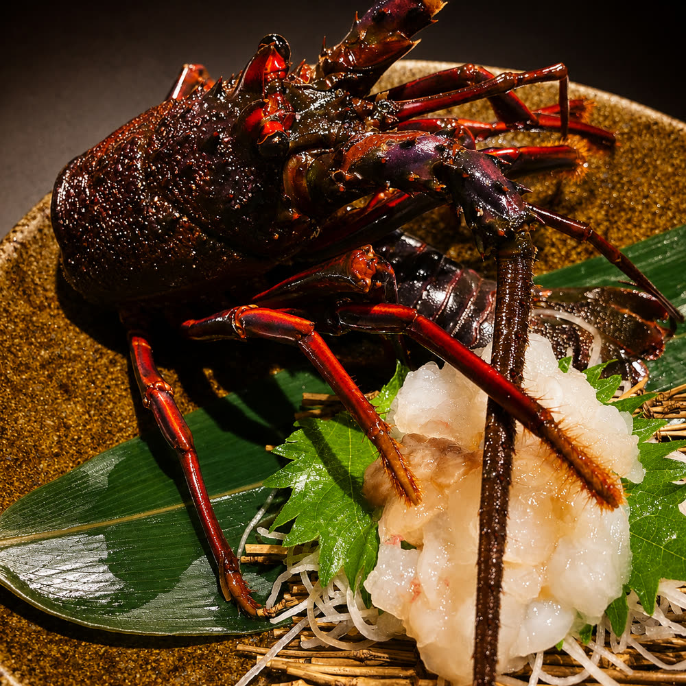 Spiny lobster sashimi